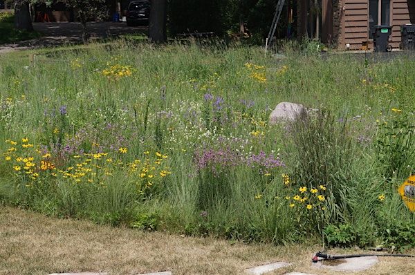 Native Garden Planning Workshop | Prairie Restorations Inc