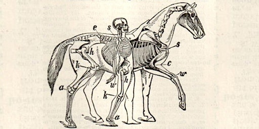 May First Saturday Open House: AnatoMAY with the Mütter Museum | Wagner Free Institute of Science