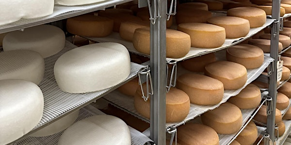 Cheese Tour & Tasting | Upper Canada Cheese Company