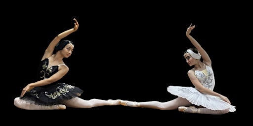 SWAN LAKE | Alliance Française de Singapour