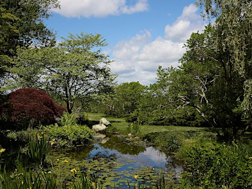Intermediate Photography in the field | Blithewold Manor, Gardens and Arboretum