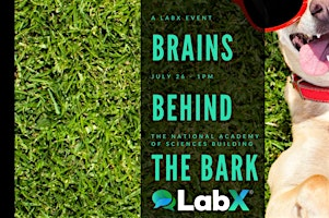 The Brains Behind The Bark | National Academy of Sciences