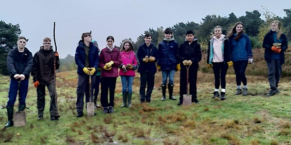 Free Teacher Training twilight session - Field Studies at Ashdown Forest | Ashdown Forest Centre