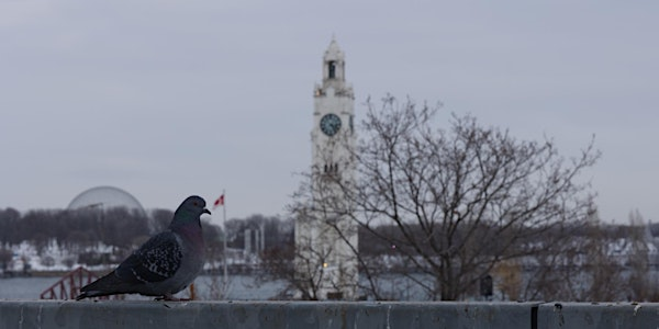 Brainhack Montreal Winter 2026 | CHUM - Centre hospitalier de l'Université de Montréal