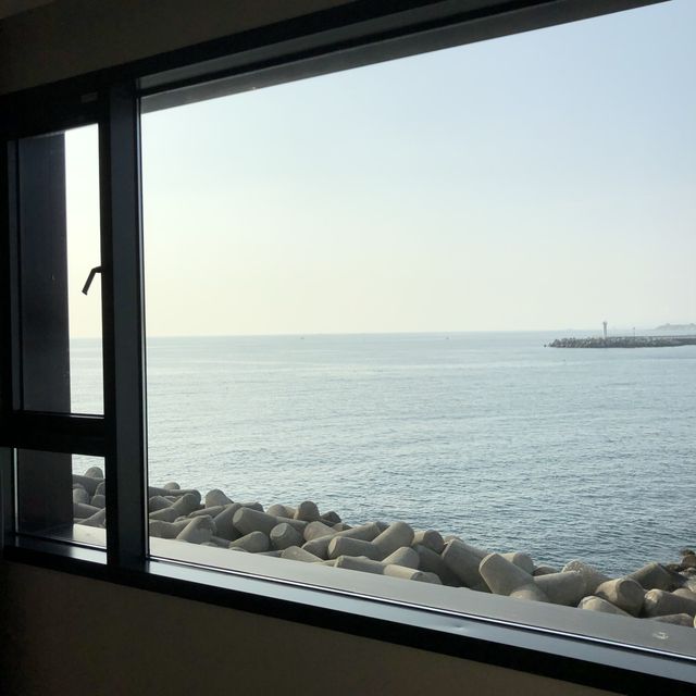 동백꽃이 피었던, 호텔 223