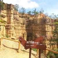 ผาช่อ@อุทยานแห่งชาติแม่วาง