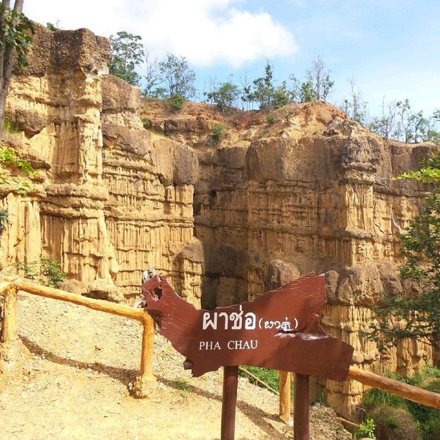 ผาช่อ@อุทยานแห่งชาติแม่วาง