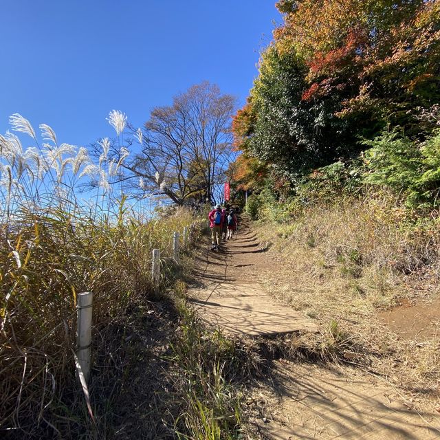 紅葉の景信山