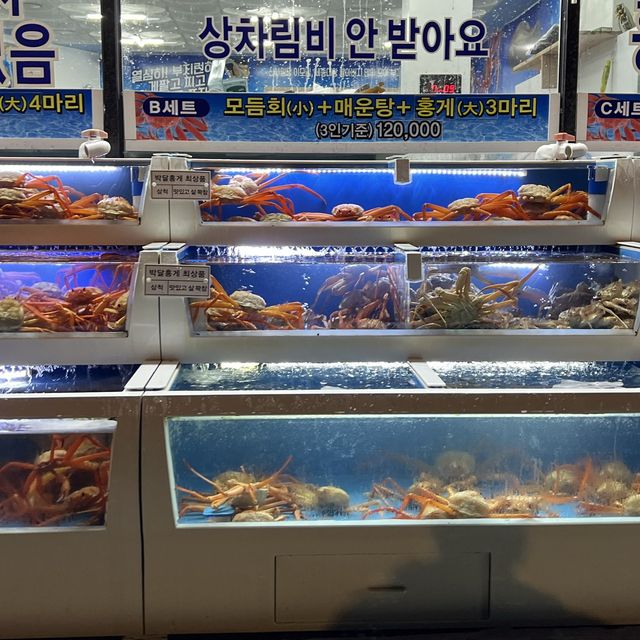 삼척 대게 맛집