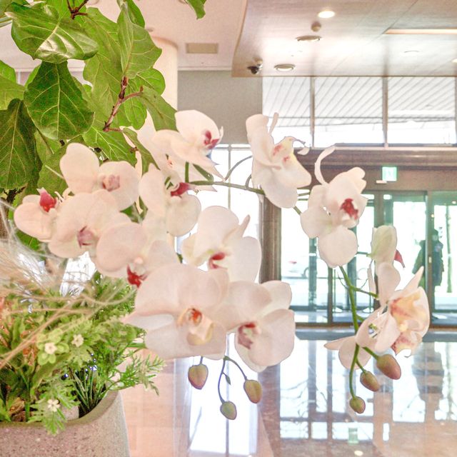 인천 개항로 여행, 감성 호캉스는 이 곳🌸