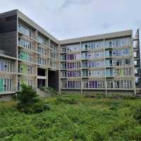 휘닉스 제주 섭지 코지