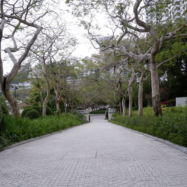 淺水灣半日遊 