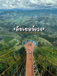 ชมวิวผืนป่าฮาลา-บาลา บนสกายวอล์ค 360 องศา ที่เบตง