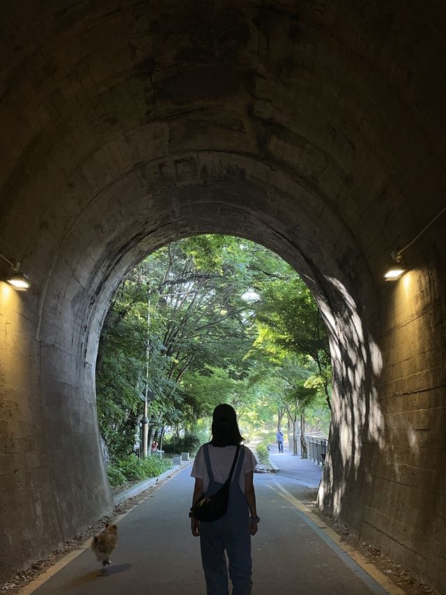 바로 지금, 여행 : 전주 2521 촬영지 투어
