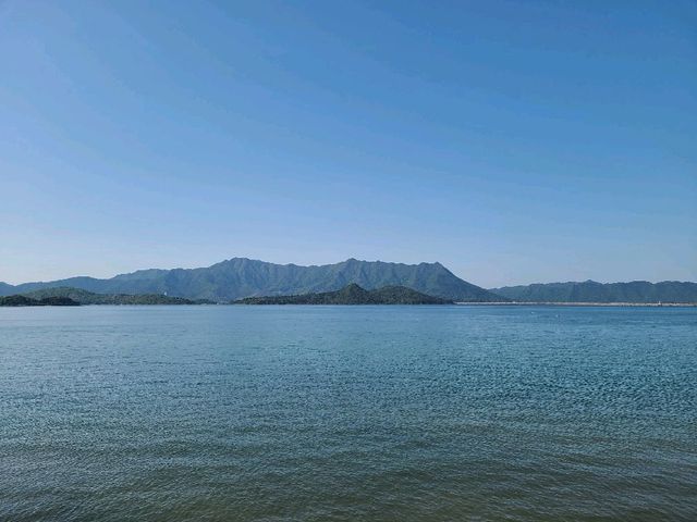 放風好去處~馬鞍山中央公園⛲
