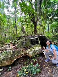 Searching for the Avatar Trees of Singapore