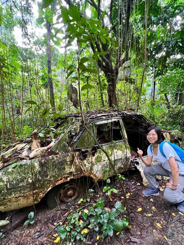 Searching for the Avatar Trees of Singapore