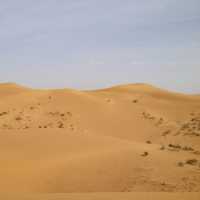The Tengger Desert 