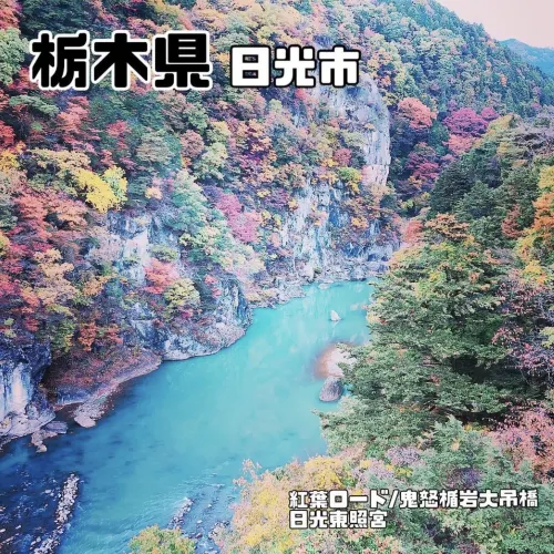 日塩もみじライン【栃木県/日光市】