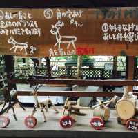 【日本 山梨縣】最萌兔兔馬兒一次到齊🐰