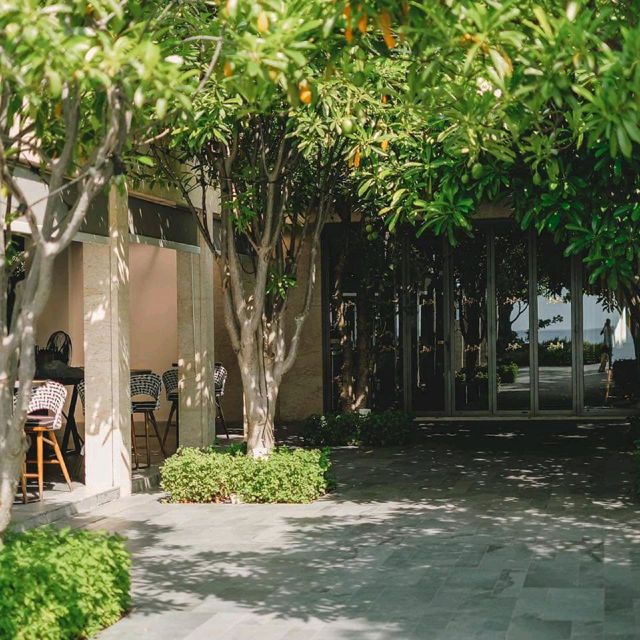  baba beach club hua hin