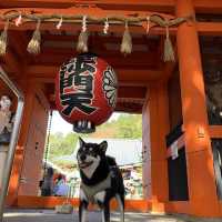 京都の中でも紅葉の穴場スポット　毘沙門堂