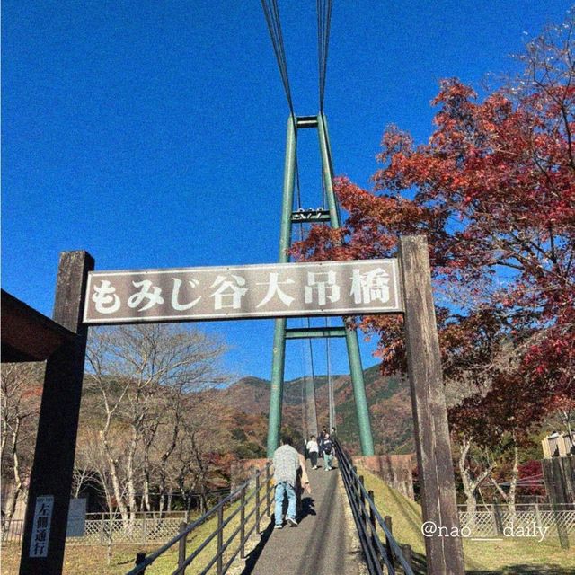 【紅葉の山々に囲まれた🍁もみじ谷大吊橋】