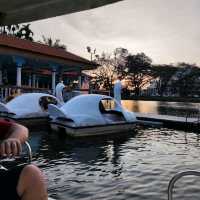 Riding Paddle Boat in Taiping Lake Gardens