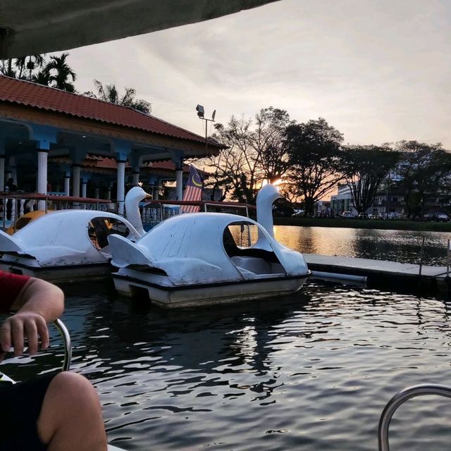 Riding Paddle Boat in Taiping Lake Gardens