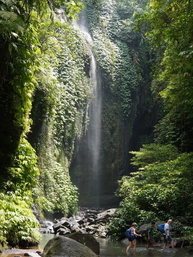 峇里 | 神秘隱世hidden waterfall🌿