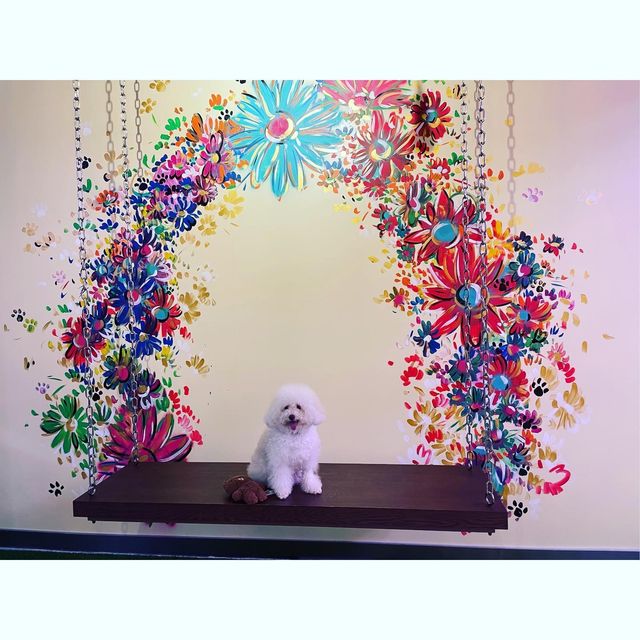 狗狗都入得嘅餐廳🥰