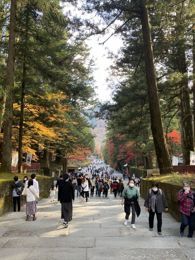 日光東照宮