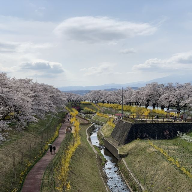 旅行