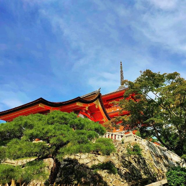 #Kiyomizudera temple in Summer♥️.