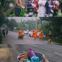 โฮมสเตย์บ้านนาต้นจั่น  
