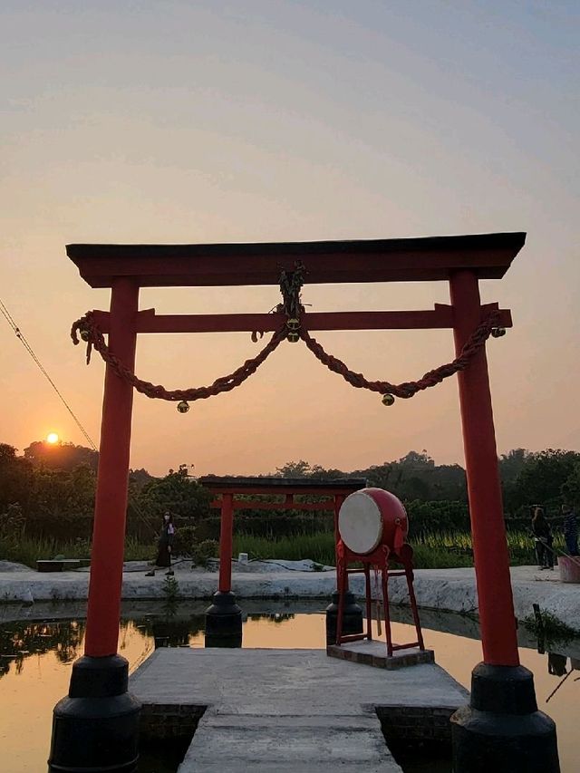 偽日本一日遊。信芯園農莊 Shun Sum Yuen Farm