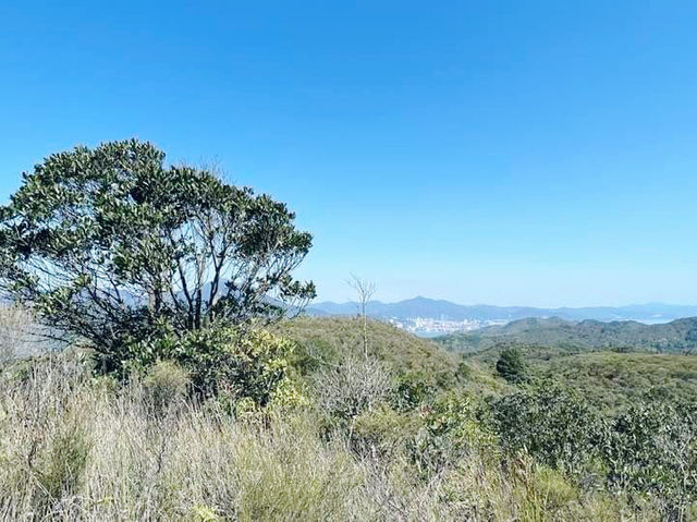 BB級行山路線推介