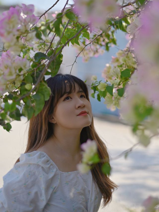 香港打卡|粉嶺隱世打卡 附路線攻略🌸🌿 香港打卡|粉嶺隱世打卡 附路線攻略🌸🌿