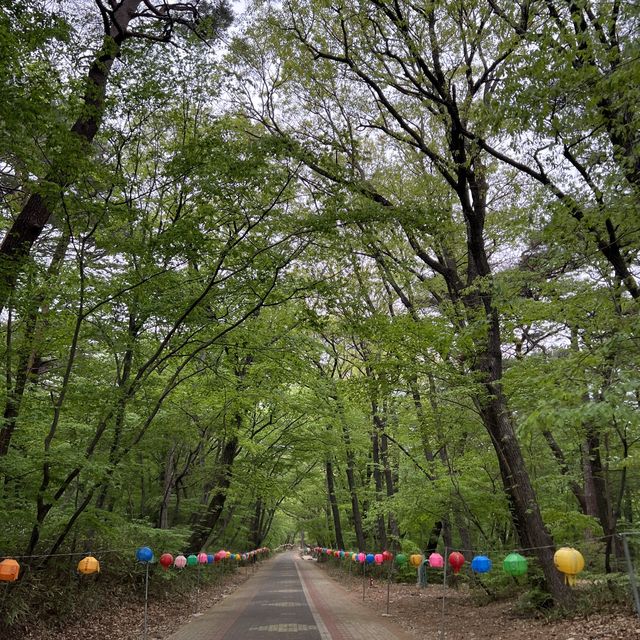 울산여행 공기좋은 산책길이 있는 ‘석남사’