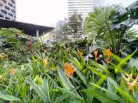 Garden in the city