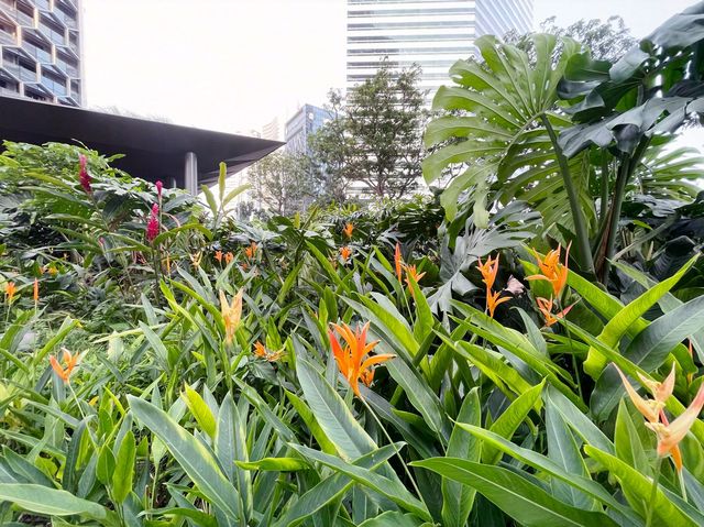 Garden in the city