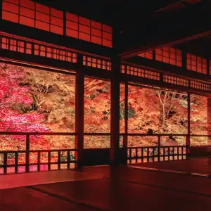 京都旅行！知恩院！