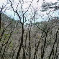 속리산등산 봄여행