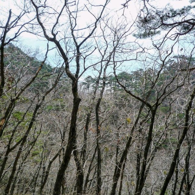 속리산등산 봄여행