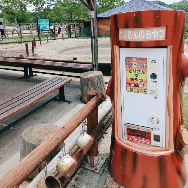 ミニブタと鶏とアヒル　姫路セントラルパーク