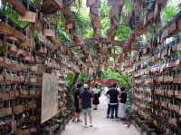 青島神社⛩️～宮崎必訪