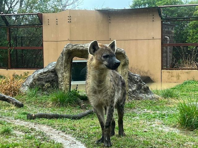 日本第一位動物園｜高知縣立野市動物園