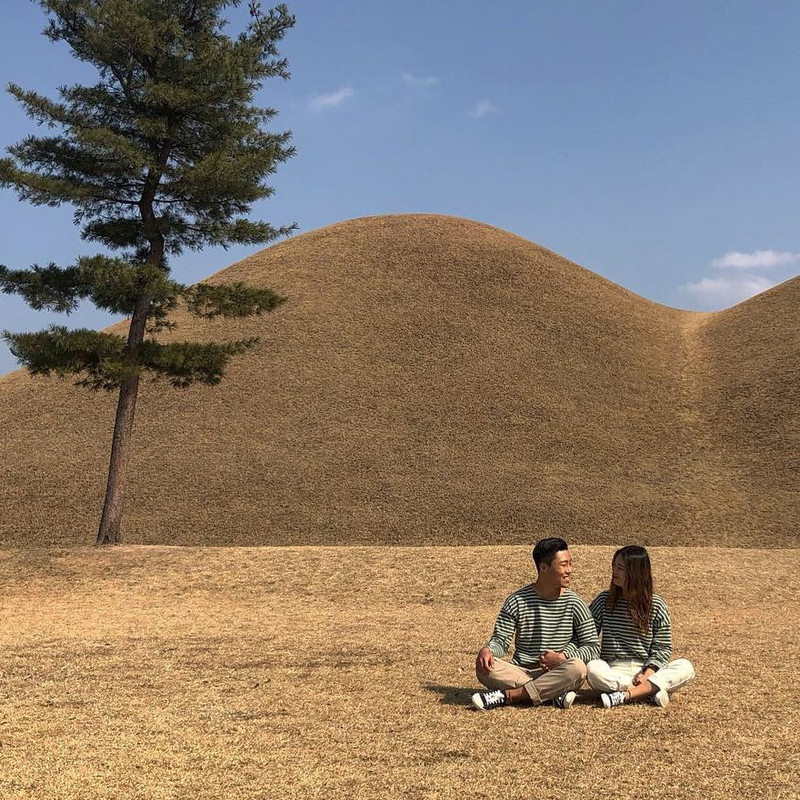 경주 대릉원🌳 | 트립닷컴 경주