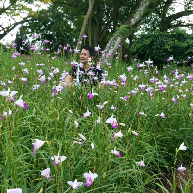 MorningWalk @SingaporeBotanicGarden