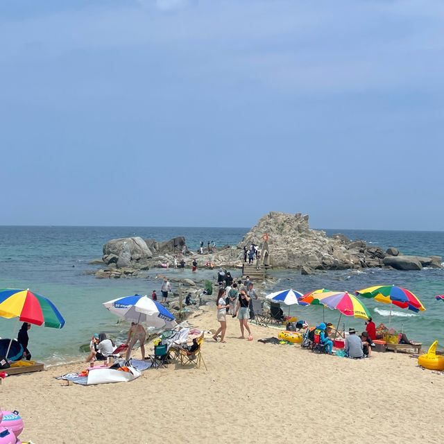 느슨해진 여름에 행복감을 주는 강릉🏖